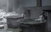 Туры в отель Maple Leaf Village Hot Spring Resort