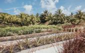 Туры в отель Long Beach Golf & Spa Resort - Mauritius