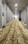 Туры в отель Luoyang Shangning Hotel (Yingtianmen Zhouwangcheng Square Subway Station Store)