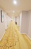 Туры в отель Luoyang Shangning Hotel (Yingtianmen Zhouwangcheng Square Subway Station Store)