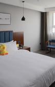 Туры в отель Luoyang Shangning Hotel (Yingtianmen Zhouwangcheng Square Subway Station Store)
