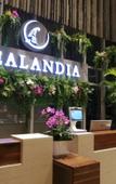 Туры в отель The Zealandia Hotel