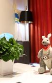 Туры в отель The Zealandia Hotel