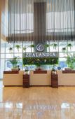 Туры в отель The Zealandia Hotel
