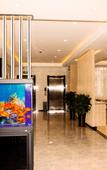 Туры в отель GreenTree Inn Express (Qingdao Golden Beach shanli subway station)