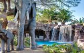 Туры в отель Lopesan Baobab Resort