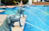 Туры в отель Lopesan Costa Meloneras Resort, Corallium Spa & Casino
