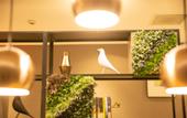 Туры в отель Home Inn Selected( Tai'an Dongyue Street Yingsheng Road Hotel)
