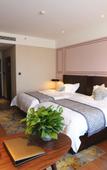 Туры в отель Gemei Hotel (Luoyang Longmen High-speed Railway Station University Town)
