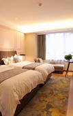 Туры в отель Gemei Hotel (Luoyang Longmen High-speed Railway Station University Town)