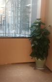 Туры в отель Wuhan Runli Boutique Hotel