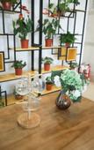 Туры в отель Homeinn Ease Hotel (Tianjin Jinnan National Exhibition Center Balitai Industrial Park)