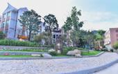 Туры в отель Nan'an Wenyuan Hotel (Quanzhou High-Speed Railway Station)
