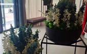 Туры в отель Homeinn Selected Hotel (Xuzhou Jiawang General Avenue)