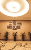 Туры в отель Dora International Hotel