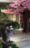 Туры в отель Ji Sheng Hotel