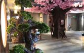 Туры в отель Ji Sheng Hotel