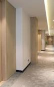 Туры в отель GreenTree Zhixuan Hotel (Danyang Wuyue Plaza)