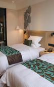 Туры в отель GreenTree Zhixuan Hotel (Danyang Wuyue Plaza)