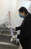 Туры в отель Jizi Hotel (Wuwei City Plaza)