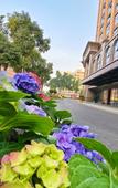 Туры в отель Fuao Holiday Hotel