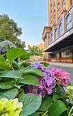 Туры в отель Fuao Holiday Hotel