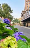 Туры в отель Fuao Holiday Hotel
