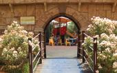 Туры в отель Lordos Beach Hotel