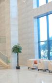 Туры в отель Zhongqi Hotel (Jiaozhou Shanghe Demonstration Zone)