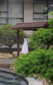 Туры в отель Qingdao Yihai Garden Hotel (Jimo Hot Spring Branch)
