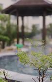 Туры в отель Qingdao Yihai Garden Hotel (Jimo Hot Spring Branch)