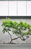 Туры в отель Midea Shunde, A Tribute Portfolio Hotel