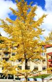Туры в отель Heizhugou Midou Hotel