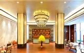 Туры в отель Haisha International Hotel