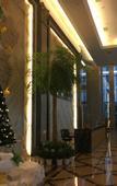 Туры в отель Nature Four Seasons Hotel (Quanzhou Luojiang Shuangyang Branch)