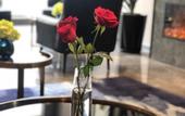 Туры в отель Homeinn Selected Hotel (Changchun Economic Development Zone Linhe Street)