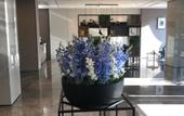 Туры в отель Homeinn Selected Hotel (Changchun Economic Development Zone Linhe Street)