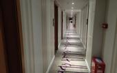 Туры в отель Xingyuewan Hotel