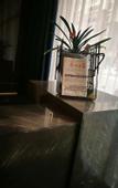 Туры в отель Tanyue Boutique Hotel