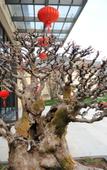 Туры в отель Heye Hotel