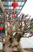Туры в отель Heye Hotel