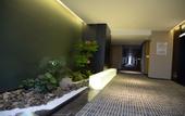 Туры в отель Longshun Hotel