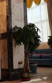 Туры в отель Ruiya Zhongyi Hotel