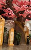 Туры в отель Ruiya Zhongyi Hotel