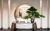 Туры в отель Yujie Junlan Hotel