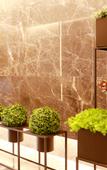 Туры в отель Homeinn Selected Hotel (Yixing Wanshi Industrial Park Huadong Stone City)