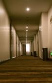 Туры в отель GreenTree Alliance Hotel (Jingjiang Dongxing Avenue)