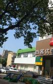 Туры в отель Shankee Hotel (Shandong Provincial Psychological Counseling Center Yanshan)