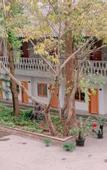 Туры в отель Yinyuan Hotel (Chengdu Airport Huatian Branch)