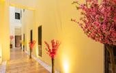 Туры в отель HanTing Premium Hotel (Dalian Gaoxin Wanda Plaza)